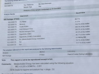 50mt Vetch Hay 500kg 8x4x3 Bales