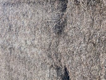 50mt Vetch Hay 500kg 8x4x3 Bales
