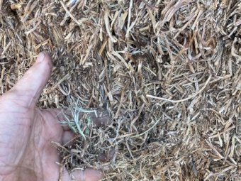 50mt Vetch Hay 500kg 8x4x3 Bales