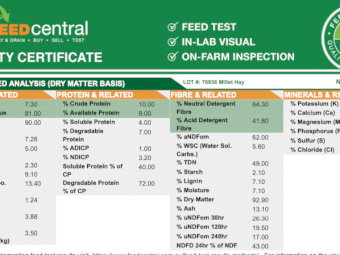 Millet Hay 8x4x3 Bales