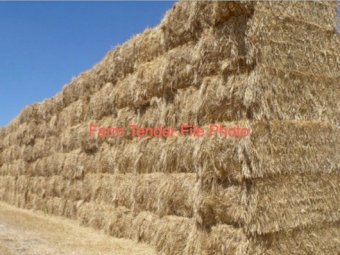 20mt Barley Hay 8x4x3 Bales