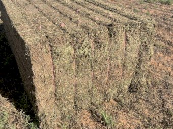 200mt Vetch Hay 8x4x3 Bales