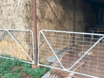 70-80mt Oaten Hay 8x3x3 Bales