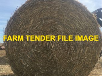 500 X Wheaten Straw 5X4 Rolls