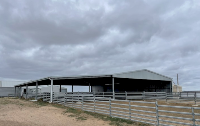 WANTED Sheep Yard panels for permanent Yards