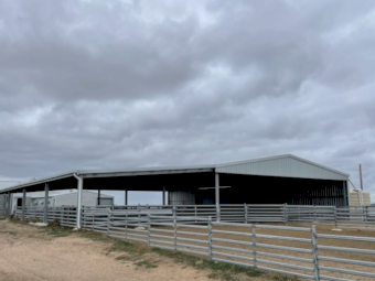 WANTED Sheep Yard panels for permanent Yards