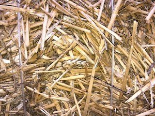 Wheaten Straw