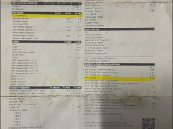 Under Auction - (A249) 50 x Clover/Rye Grass Hay 5X4 Round Bales 