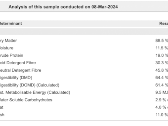 23/34 Season Shedded Vetch Hay