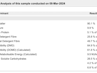 23/24 Season Shedded Oaten Hay