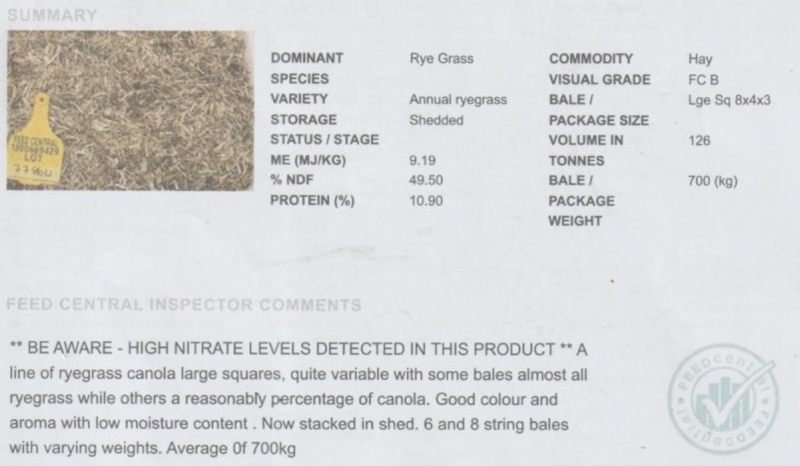 Canola and Rye Grass Hay