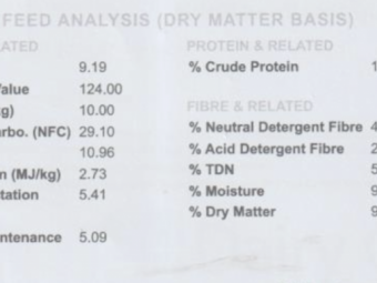 Canola and Rye Grass Hay