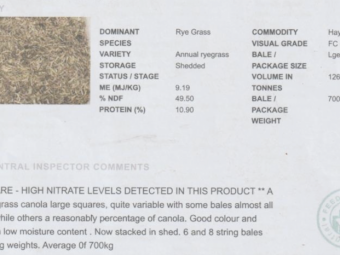 Canola and Rye Grass Hay