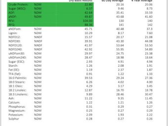 33mt Lucerne Hay 550kg 8x4x3 Bales