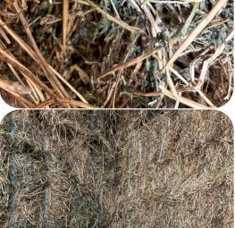 33mt Lucerne Hay 550kg 8x4x3 Bales