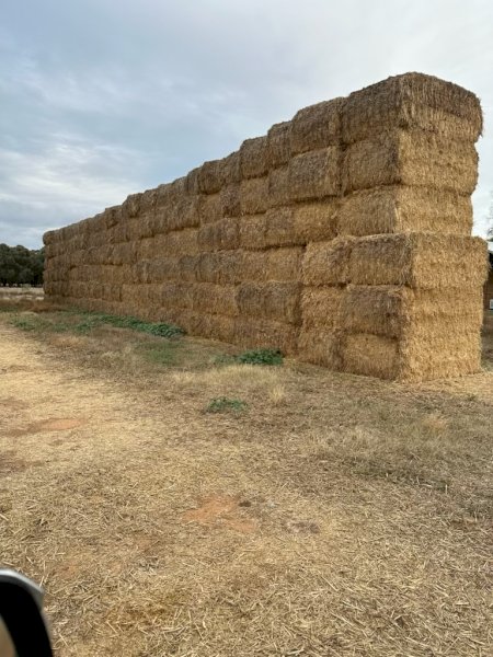 40 mt Oaten Hay """Offers"""