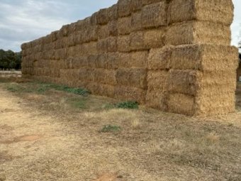 40 mt Oaten Hay 