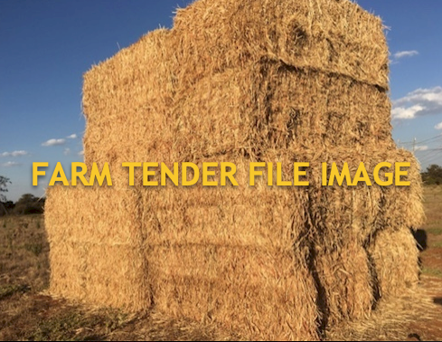 30mt Sudan Hay SSS 8x4x3 Bales