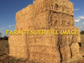 30mt Sudan Hay SSS 8x4x3 Bales