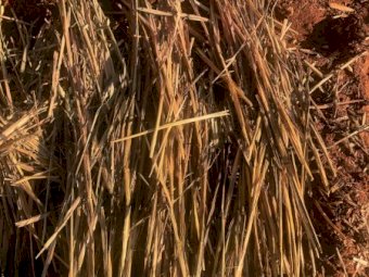 300mt Oaten Hay 8x4x3 Bales