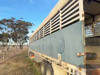 1972 White McGrath Trailer with Animal Carrier Stock Crate