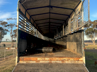 1972 White McGrath Trailer with Animal Carrier Stock Crate