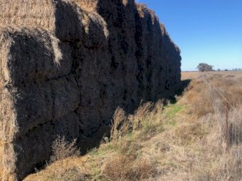 150mt Oaten Hay 500kg 8x4x3 Bales