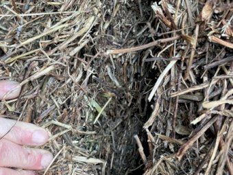 2022 Season Vetch Hay