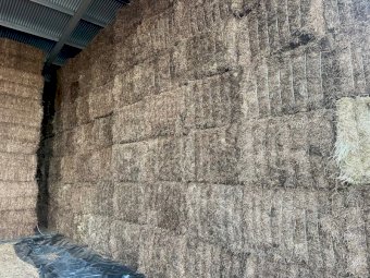 2022 Season Vetch Hay