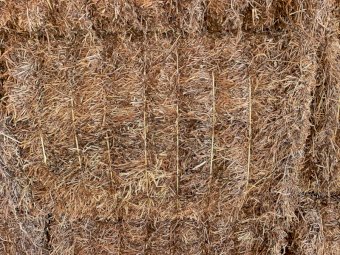 2022 Season Vetch Hay