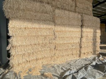 2023 Windrowed Wheaten Straw