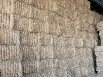 2023 Windrowed Wheaten Straw