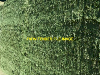 500 X Lucerne Hay Small Square Bales