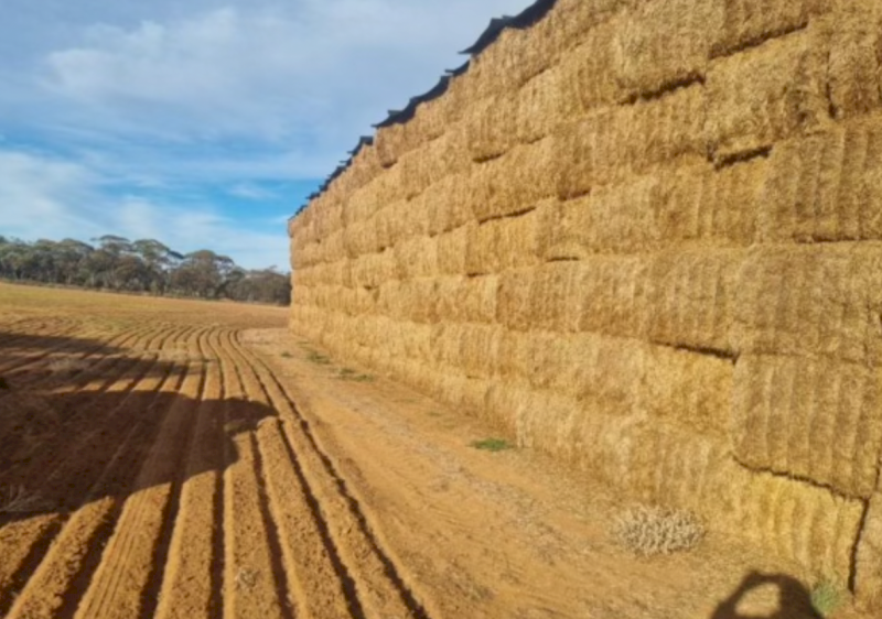 2023 Vetch tested A1  8x3x4