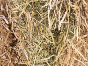 2023 Vetch tested A1  8x3x4