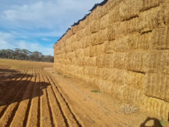 2023 Vetch tested A1  8x3x4