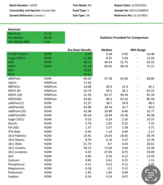 2023 Canola hay 8x4x3 NO TOP BALES