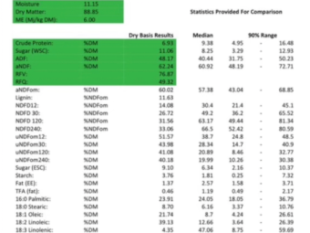 2023 Canola hay 8x4x3 NO TOP BALES
