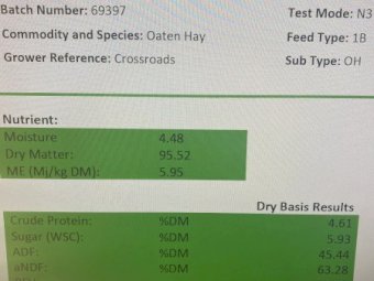 130 mt Oaten Hay 8x4x3 Bales