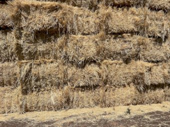 270 mt Wheaten Hay 550kg 8x4x3 Bales