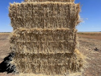 270 mt Wheaten Hay 550kg 8x4x3 Bales