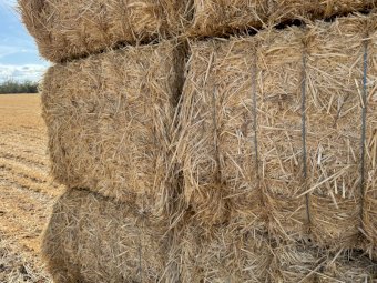 270 mt Wheaten Hay 550kg 8x4x3 Bales
