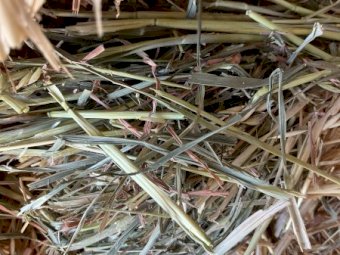 2 x B-Double Loads of 23 Season Oaten Hay