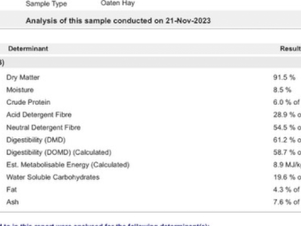 2 x B-Double Loads of 23 Season Oaten Hay