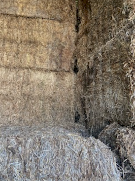 22mt Vetch Hay 550kg 8x4x3 Bales