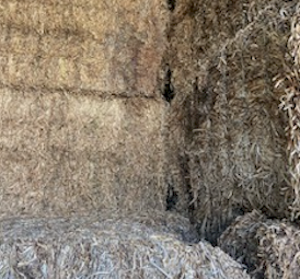 22mt Vetch Hay 550kg 8x4x3 Bales