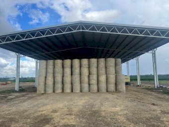 400  Rhodes Grass hay 4x4 Rolls