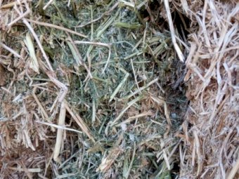 15MT Vetch Hay 8X4X3 Large Square Bales