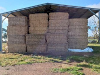 15MT Vetch Hay 8X4X3 Large Square Bales