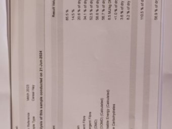 15MT Vetch Hay 8X4X3 Large Square Bales